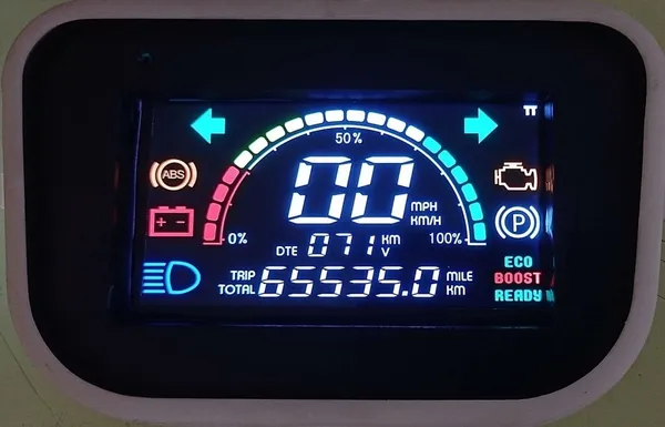 Colour Segmented LCD Cluster